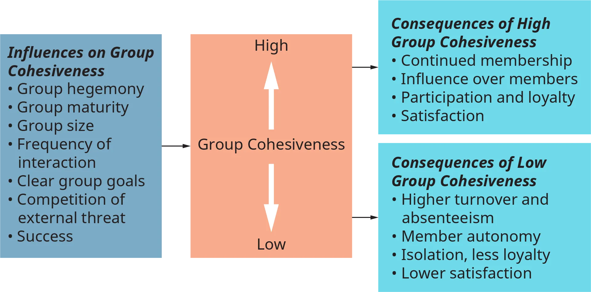 A diagram represents the determinants and consequences of group cohesiveness.
