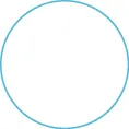An image of a circle.