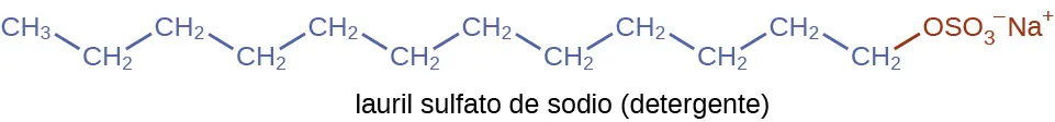 Esta figura muestra la fórmula estructural de un detergente conocido como lauril sulfato de sodio. Se muestra una cadena de hidrocarburos compuesta por 12 átomos de carbono y 25 átomos de hidrógeno con un extremo iónico que incluye un azufre cargado negativamente y cuatro átomos de oxígeno en el extremo iónico de la cadena. En el extremo iónico también se muestra un superíndice Na más cargado positivamente.