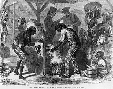 An engraving depicts enslaved male and female African Americans of all ages working with a cotton gin, while well-dressed White men talk and examine some cotton in the background.