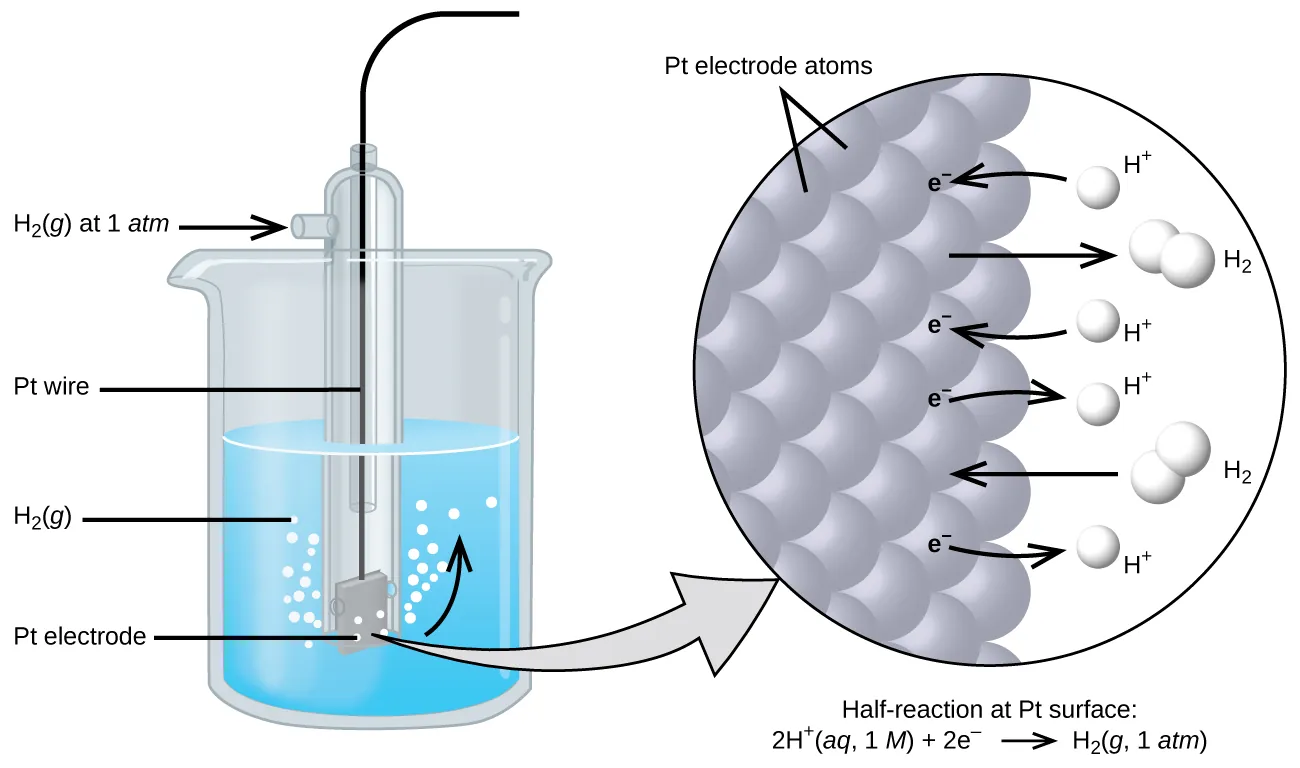 The figure shows a beaker just over half full of a blue liquid. A glass tube is partially submerged in the liquid. Bubbles, which are labeled “H subscript 2 ( g )” are rising from the dark grey square, labeled “P t electrode” at the bottom of the tube. A curved arrow points up to the right, indicating the direction of the bubbles. A black wire which is labeled “P t wire” extends from the dark grey square up the interior of the tube through a small port at the top. A second small port extends out the top of the tube to the left. An arrow points to the port opening from the left. The base of this arrow is labeled “H subscript 2 ( g ) at 1 a t m.” A light grey arrow points to a diagram in a circle at the right that illustrates the surface of the P t electrode in a magnified view. P t atoms are illustrated as a uniform cluster of grey spheres which are labeled “P t electrode atoms.” On the grey atom surface, the label “e superscript negative” is shown 4 times in a nearly even vertical distribution to show electrons on the P t surface. A curved arrow extends from a white sphere labeled “H superscript plus” at the right of the P t atoms to the uppermost electron shown. Just below, a straight arrow extends from the P t surface to the right to a pair of linked white spheres which are labeled “H subscript 2.” A curved arrow extends from a second white sphere labeled “H superscript plus” at the right of the P t atoms to the second electron shown. A curved arrow extends from the third electron on the P t surface to the right to a white sphere labeled “H superscript plus.” Just below, an arrow points left from a pair of linked white spheres which are labeled “H subscript 2” to the P t surface. A curved arrow extends from the fourth electron on the P t surface to the right to a white sphere labeled “H superscript plus.” Beneath this atomic view is the label “Half-reaction at P t surface: 2 H superscript plus ( a q, 1 M ) plus 2 e superscript negative right pointing arrow H subscript 2 ( g, 1 a t m ).”