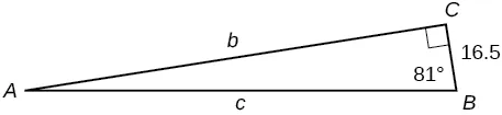 A right triangle with corners labeled A, B, and C. Sides labeled b, c, and 16.5. Angle of 81 degrees also labeled.
