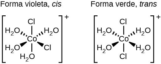 Se muestran dos estructuras. La primera está marcada como "violeta, forma cis". Debajo de esta marcación, entre corchetes, hay un átomo central de C o. Desde el átomo de C o, los segmentos de línea indican los enlaces con un átomo de C l por encima y el átomo de O de un grupo H subíndice 2 O por debajo de la estructura. Por encima y a la derecha y a la izquierda, las cuñas discontinuas con su vértice en el átomo de C o que se ensanchan a medida que se alejan del átomo indican enlaces con átomos de O de grupos H subíndice 2 O. Del mismo modo, las cuñas sólidas de abajo, tanto a la derecha como a la izquierda, indican enlaces a un átomo de C l a la derecha y al átomo de O de un grupo H subíndice 2 O a la izquierda. Esta estructura se encuentra entre corchetes. Fuera de los corchetes, a la derecha, se encuentra el signo más en superíndice. La segunda está marcada como "verde, forma trans". Debajo de esta marcación, entre corchetes, hay un átomo central de C o. A partir del átomo de C o, los segmentos de línea indican los enlaces con los átomos de C l por encima y por debajo de la estructura. Por encima y a la derecha y a la izquierda, las cuñas discontinuas indican los enlaces con átomos de O de los grupos H subíndice 2 O. Del mismo modo, las cuñas sólidas situadas debajo, tanto a la derecha como a la izquierda, indican los enlaces con los átomos de O de los grupos H subíndice 2 O. Esta estructura también está entre corchetes con un signo más en superíndice fuera de los corchetes, a la derecha.