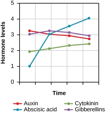 The graph plots hormone levels on the y-axis versus time of drought on the x-axis. There are four plotted lines for auxin, abscisic acid, cytokinin, and gibberellins. The auxin line starts at a hormone level just above 3 and gradually lowers to a hormone level just below 3 over time. The abscisic acid line starts at a hormone level of 1, jumps to a hormone level of 3, and then gradually rises to above 4 over time. The cytokinin line starts at a hormone level of 2 and gradually rises to a hormone level of about 2.5 over time. The gibberellins line starts at a hormone level of 3, rises slightly above 3, and then lowers to slightly below 3 over time.