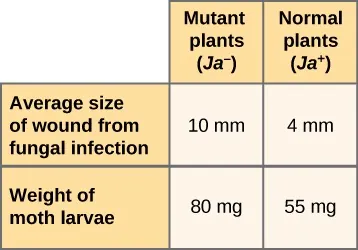 Table with three columns and three rows. Top, left header reads: Mutant plants (Ja–). Top, right header reads: Normal plants (Ja+). Second row, left header reads: Average size of wound from fungal infection. Second row under Mutant plants reads: 10 mm. Second row under Normal plants reads: 4 mm. Third row, left header reads: Weight of moth larvae. Third row under Mutant plants reads: 80 mg. Third row under Normal plants reads: 55 mg.