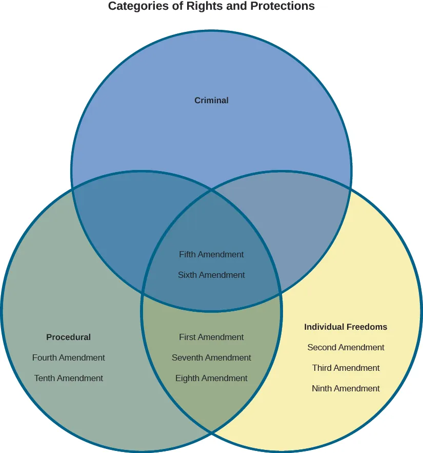 A Venn Diagram labeled “Categories of Rights and Protections”. The top circle of the diagram is labeled “Criminal”, the circle on the left is labeled “Procedural”, and the circle on the right is labeled “Individual Freedoms”. The values “Fifth Amendment” and “Sixth Amendment” are shown in the center of the diagram where all three circles overlap. The values “Fourth Amendment” and “Tenth Amendment” are shown in the circle on the left labeled “Procedural”. The values “First Amendment”, “Seventh Amendment”, and “Eighth Amendment” are shown at the bottom of the diagram where the circles labeled “Procedural” and “Individual Freedoms” overlap. The values “Second Amendment”, “Third Amendment”, and “Ninth Amendment” are shown in the circle on the right labeled “Individual Freedoms”.