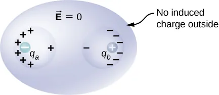 Figure shows a flattened sphere, labeled vector E equal to zero. It has two spherical cavities within it. Its outer surface of the flattened sphere is labeled no induced charge outside. The left cavity has a negative charge q_a inside it, on the left. The left surface of this cavity has many plus signs on it and the right surface has a single plus sign on it. The right cavity has a positive charge q_b inside it, on the right. The right surface of this cavity has many minus signs on it and the left surface has a single minus sign on it.