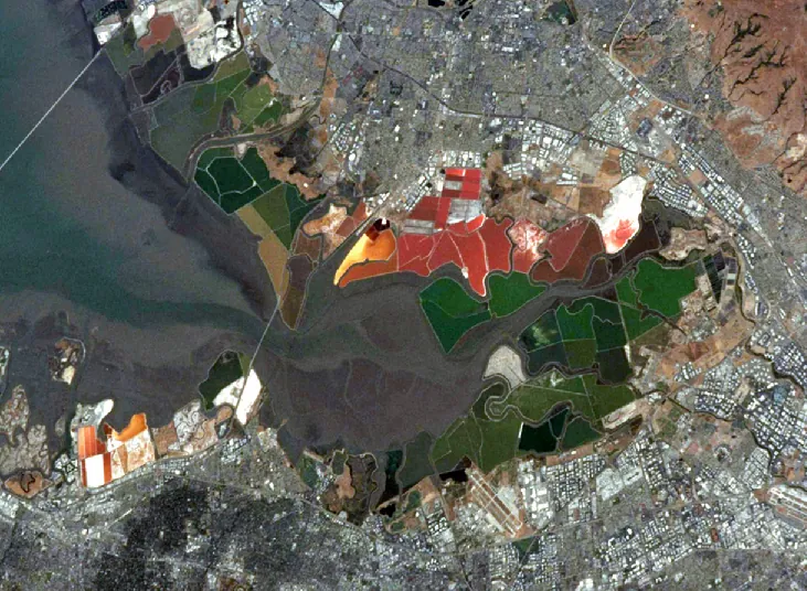 Salt Ponds. Bright red salt ponds (seen just above center) stand in stark contrast to the buildings and green vegetation at the south end of San Francisco Bay in this satellite photograph.