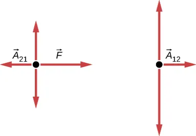 Rysunek pokazuje rozkład sił działających na poszczególne klocki. Po lewej stronie rysunku znajduje się rozkład sił na masę m1. Widoczny jest wektor A 21 zwrócony w lewo oraz siłę F działającą w prawo. Obok znajduje się podobny diagram, lecz dla ciała większego o masie m2. Jedną z sił oznaczono jako A 12, i zwrócona jest ona w prawo. Na obydwóch rysunkach są również dwie strzałki w kierunku pionowym, zwrócone do siebie przeciwnie i mające równią długość..