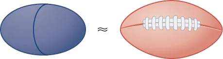 This figure has an oval that is approximately equal to the image of a football.