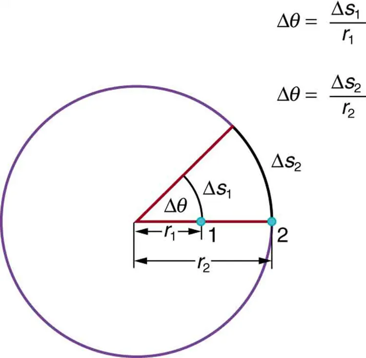 A circle is shown. Two radii of the circle, inclined at an acute angle delta theta, are shown. On one of the radii, two points, one and two are marked. The point one is inside the circle through which an arc between the two radii is shown. The point two is on the cirumfenrence of the circle. The two arc lengths are delta s one and delta s two respectively for the two points.
