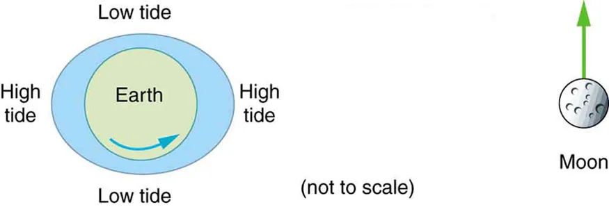 The given figure shows an ellipse, inside which there is a circular image of the Earth. There is a curved arrow in the lower part of the Earth's image pointing in the counterclockwise direction. The right and left side of the ellipse are labeled as High tide and the top and bottom side are labeled as Low tide. Alongside this image a circular image of the Moon is also given with dots showing the crates over it. A vertically upwards vector from its top is also shown, which indicates the direction of the Moon's velocity.