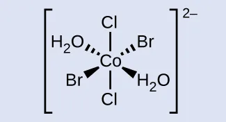 Esta figura muestra una estructura entre corchetes. Se indica un átomo central de C o con segmentos de línea que señalan los enlaces con los átomos de C l por encima y por debajo de la estructura. Por encima y a la izquierda, una cuña discontinua con su vértice en el átomo de C o que se ensancha a medida que se aleja del átomo indica un enlace con el átomo de O de un grupo H subíndice 2 O. Una segunda cuña discontinua indica un enlace con el átomo central de C o con un átomo de B r arriba y a la derecha. Del mismo modo, una cuña sólida debajo y a la izquierda indica un enlace con un átomo de B r. Una segunda cuña sólida debajo y a la derecha indica un enlace con el átomo de O de un grupo H subíndice 2 O. Esta estructura se encuentra entre corchetes. Fuera de los corchetes, a la derecha, se encuentra el superíndice 2 con el signo menos.