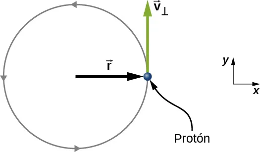 Un protón se mueve en un círculo en sentido contrario de las agujas del reloj. El círculo tiene un radio r. El protón se muestra cuando está a la derecha del centro del círculo, y su velocidad es v sub perpendicular en la dirección de la y positiva, hacia arriba.