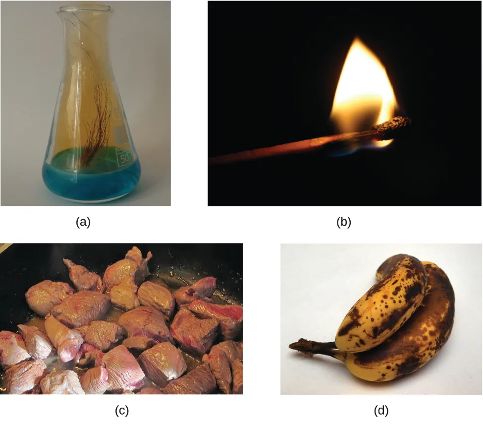 La figura A es una foto del matraz que contiene un líquido azul. Varias hebras de cobre pardo se sumergen en el líquido azul. Hay un gas de color marrón que sale del líquido y llena la parte superior del matraz. La figura B muestra una cerilla encendida. La figura C muestra la carne roja cocinada en una sartén. La figura D muestra un pequeño racimo de plátanos amarillos que tienen muchas manchas negras.