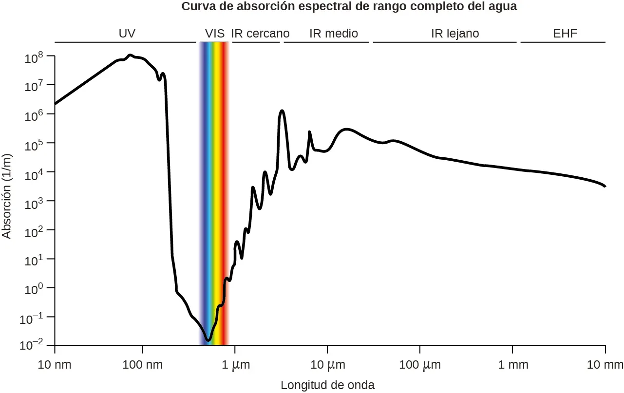 Un gráfico linear se titula "Curva de absorción espectral del rango completo del agua". El eje x se titula "Longitud de onda" y el eje y se titula "Absorción (1 por metro)". Las marcas espaciadas uniformemente en el eje x denotan 10 nanómetros, 100 nanómetros, 1 micrómetro, 10 micrómetros, 100 micrómetros, 1 milímetro y 10 milímetros. Las marcas de graduación uniformemente espaciadas en el eje y denotan 10 superíndice negativo dos, 10 superíndice negativo uno, 10 superíndice cero, 10 superíndice uno, 10 superíndice dos, 10 superíndice tres, 10 superíndice cuatro, 10 superíndice cinco, 10 superíndice seis, 10 superíndice siete y 10 superíndice ocho. Sobre el gráfico, las líneas horizontales indican el rango de longitudes de onda para U V, V I S, cerca de I R, a mitad de I R, lejos de I R y E H F. El gráfico contiene una línea que comienza en 10 nanómetros y un poco más de 10 superíndice seis. De izquierda a derecha, esta línea asciende gradualmente hasta alcanzar un punto cercano a los 100 nanómetros y 10 superíndice ocho. A partir de este punto, la línea desciende de forma pronunciada hasta un punto situado poco más de la mitad de la distancia entre 100 nanómetros y 1 micrómetro, y algo más de 10 superíndice dos. Este punto indica el final del rango marcado como "U V" y el comienzo del rango marcado como "V I S". El rango marcado como "V I S" está sombreada con toda la gama de colores de Roy G Biv. Aquí, la línea desciende brevemente en la misma trayectoria que antes, y luego asciende abruptamente hasta un punto cercano a 1 micrómetro y 10 superíndice cero. Este punto indica el final del rango marcado como "V I S" y el comienzo del rango marcado como "cerca de I R". La línea continúa su ascenso pronunciado, con breves y bruscos descensos intermedios, hasta alcanzar un punto a poco más de la mitad de la distancia entre 1 micrómetro y 10 micrómetros, y un poco más de 10 superíndices seis. Este punto indica el final del rango marcado como "cerca de I R" y el comienzo del rango marcado como "a mitad de I R". En este caso, la línea se desplaza de forma abrupta y esporádica hacia arriba y hacia abajo hasta alcanzar un punto situado a poco más de la mitad de la distancia entre 10 micrómetros y 100 micrómetros, y algo más de 10 superíndice cinco. Este punto indica el final del rango marcado como "a mitad de I R" y el comienzo del rango marcado como "lejos de I R". La línea desciende muy gradualmente hasta un punto de algo más de 1 milímetro y algo más de 10 superíndice cuatro. Este punto indica el final del rango marcado como "lejos de I R" y el comienzo del rango marcado como "E H F". La línea continúa su descenso gradual hasta los 10 milímetros y algo más de 10 superíndice tres. Este punto indica el final del rango marcado como "E H F".