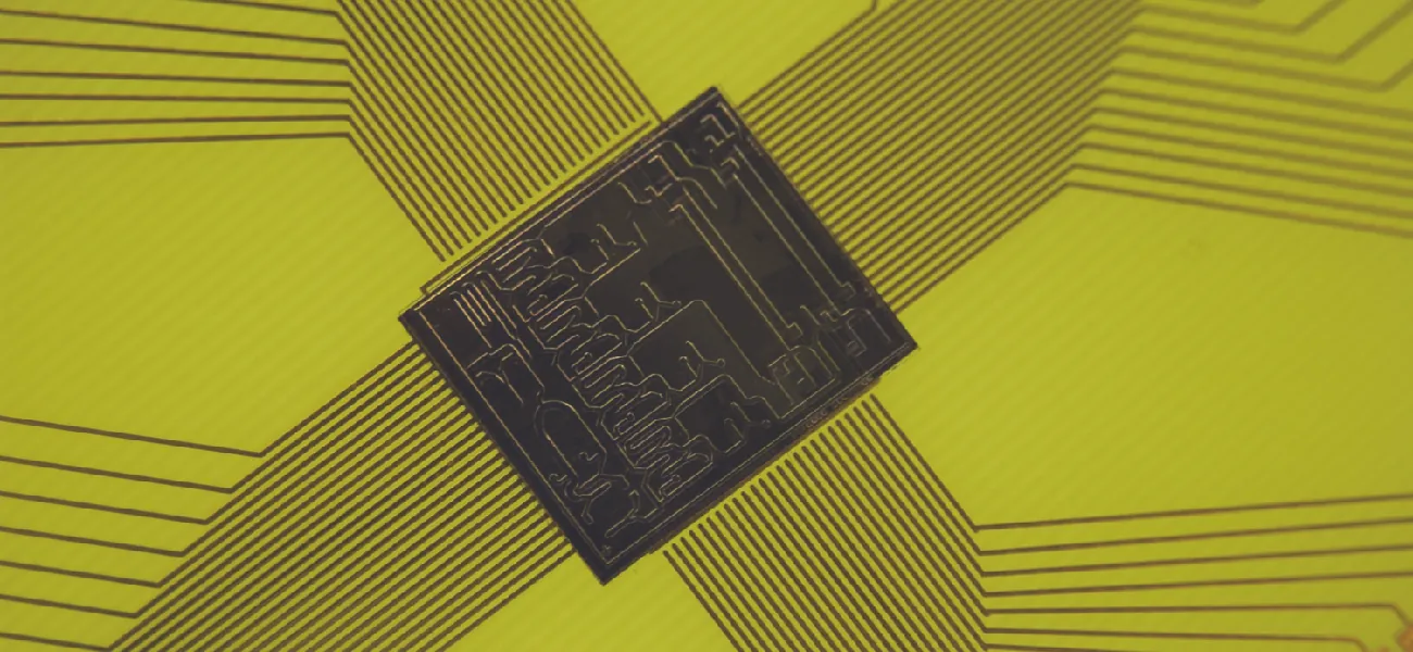 Picture of a computer chip.