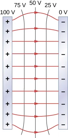 La figura muestra dos placas de metal y las líneas de campo eléctrico entre ellas. El potencial de la placa izquierda es de 100V y el de la derecha es de 0V y hay líneas equipotenciales de 75V, 50V y 25V entre las placas.