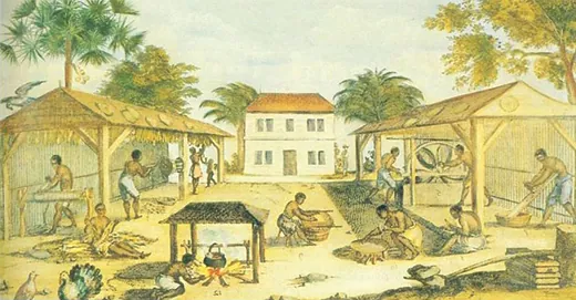 This is a 1670 painting showing bare-chested, barefoot Black men in knee-length pants, doing various tasks associated with tobacco drying. Some stand in sheds hanging the leaves up to dry.