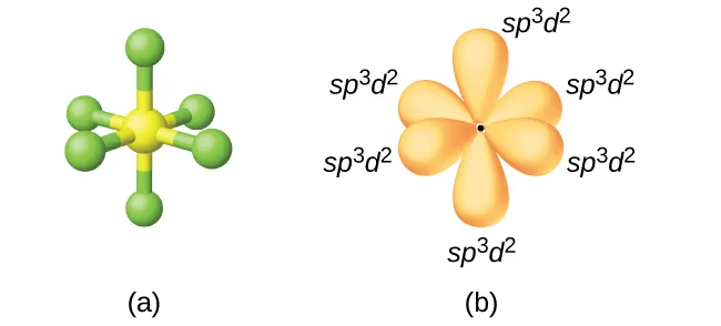 Two images are shown and labeled “a” and “b.” Image a depicts a ball-and-stick model in an octahedral arrangement. Image b depicts the hybrid orbitals in the same arrangement and each is labeled, “s p superscript three d superscript two.”