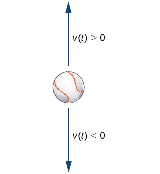 Una imagen de una pelota de béisbol con una flecha por encima apuntando hacia arriba y una flecha por debajo apuntando hacia abajo. La flecha que apunta hacia arriba está marcada como v(t) > 0, y la flecha que apunta hacia abajo está marcada como v(t) < 0.