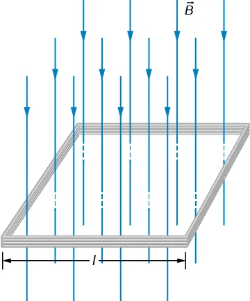 Rysunek przedstawia widok poziomej, kilkuzwojowej cewki, w kształcie kwadratu o boku l. Powierzchnię ramki przenikają pionowe, liczne linie sił pola magnetycznego o indukcji B. Linie zwrócone są ku dołowi rysunku.