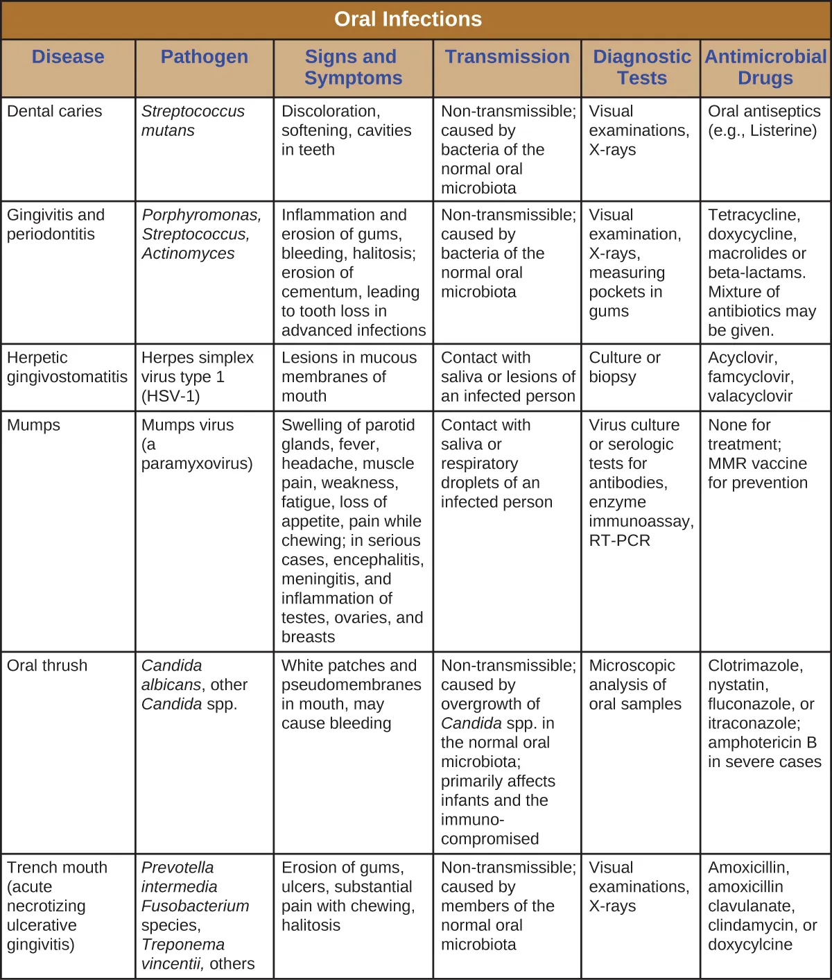 Table titled: Oral Infections. Columns: Disease, Pathogen, Signs and Symptoms, Transmission, Diagnostic Tests, Antimicrobial Drugs. Dental caries; Streptococcus mutans; Discoloration, softening, cavities in teeth; Non-transmissible; caused by bacteria of the normal oral microbiota; Visual examinations, X-rays Oral antiseptics (e.g., Listerine). Gingivitis and periodontitis; Porphyromonas, Streptococcus, Actinomyces; Inflammation and erosion of gums, bleeding, halitosis; erosion of cementum leading to tooth loss in advanced infections; Non-transmissible; caused by bacteria of the normal oral microbiota; Visual examination, X-rays, measuring pockets in gums; Tetracycline, doxycycline, macrolides or beta-lactams. Mixture of antibiotics may be given. Herpetic gingivostomatitis; Herpes simplex virus type 1 (HSV-1); Lesions in mucous membranes of mouth Contact with saliva or lesions of an infected person Culture or biopsy; Acyclovir, famcyclovir, valacyclovir. Mumps; Mumps virus (a paramyxovirus); Swelling of parotid glands, fever, headache, muscle pain, weakness, fatigue, loss of appetite, pain while chewing; in serious cases, encephalitis, meningitis, and inflammation of testes, ovaries, and breasts; Contact with saliva or respiratory droplets of an infected person; Virus culture or serologic tests for antibodies, enzyme immunoassay, RT-PCR; None for treatment; MMR vaccine for prevention. Oral thrush; Candida albicans, other Candida spp.;  White patches and pseudomembranes in mouth, may cause bleeding; Nontransmissible; caused by overgrowth of Candida spp. in the normal oral microbiota; primarily affects infants and the immunocompromised. Microscopic analysis of oral samples; Clotrimazole, nystatin, fluconazole, or itraconazole; amphotericin B in severe cases. Trench mouth (acute necrotizing ulcerative gingivitis); Prevotella intermedia Fusobacterium species, Treponema vincentii, others; Erosion of gums, ulcers, substantial pain with chewing, halitosis; Nontransmissible; caused by members of the normal oral microbiota; Visual examinations, X-rays; Amoxicillin, amoxicillin clavulanate, clindamycin, or doxycycline.