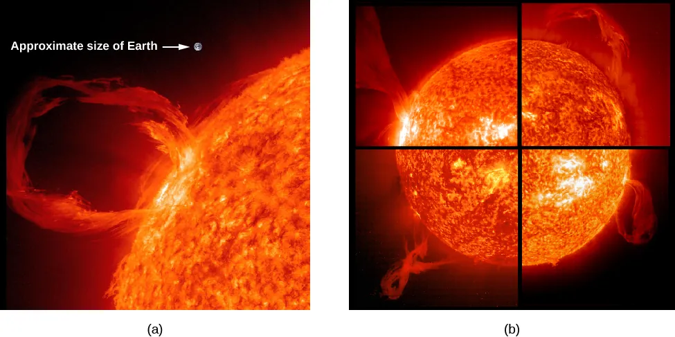 A figure showing prominences. At left is an image of the sun divided into four quarters. Each quarter shows a different prominence. At right is a close-up of a prominence, with a dot labeled “Approximate size of Earth” for size reference.