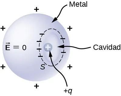 Se muestra una esfera de metal con una cavidad. Está marcada como vector E igual a cero. Hay signos de más que la rodean. Hay una carga positiva marcada como más q dentro de la cavidad. La cavidad está rodeada de signos menos.
