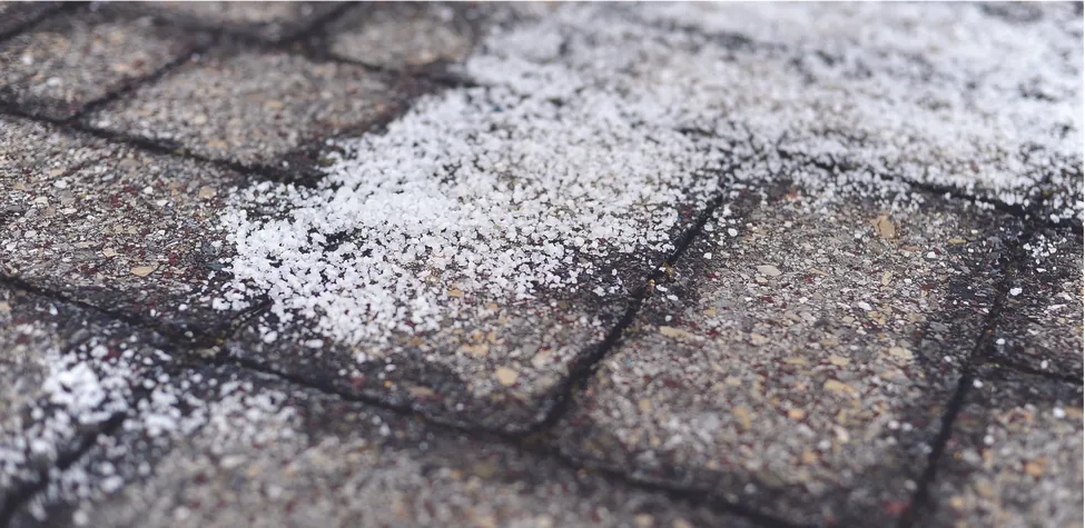Esta es una foto de un pavimento de ladrillo húmedo sobre el que se esparció un material cristalino blanco.