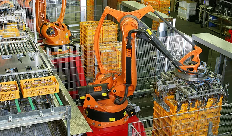 A photograph shows industrial robots palletizing food products in a factory.
