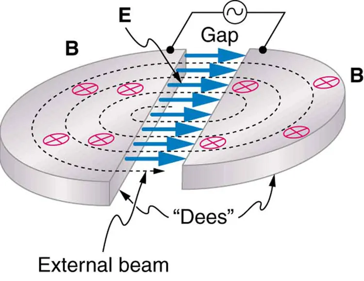 The image shows a disc-shaped cyclotron consisting of two horizontal semicircular plates that are separated by a gap. An alternating voltage is put across the gap, and an electric field is shown going from the left semicircular plate across the gap to the right semicircular plate. A magnetic field pierces the plates from top to bottom. A dotted line labeled external beam spirals outward from the center of the cyclotron, making four revolutions inside the semicircular plates before reaching the outer edge of the cyclotron.