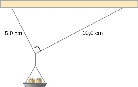 Na rysunku pokazano niewielką szalkę podtrzymywaną przez dwie nici związane pod kątem 90 stopni. Długość jednej nici wynosi 5 centymetrów, długość drugiej nici wynosi 10 centymetrów