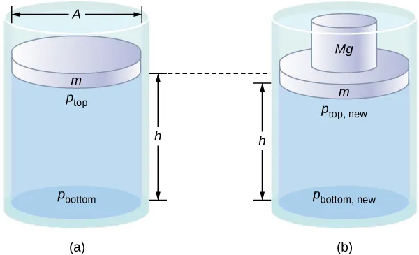 Figure A is a schematic drawing of a cylinder filled with fluid and opened to the atmosphere on one side. A disk of mass m and surface area A identical to the surface area of the cylinder is placed in the container. Distance between the disk and the bottom of the cylinder is h. Figure B is a schematic drawing of the cylinder with an additional disk of mass Mg placed atop mass m causing mass m to move lower.