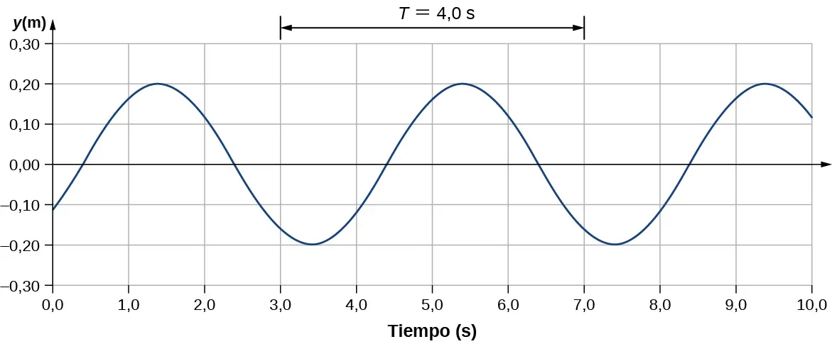 La figura muestra una onda transversal en un gráfico. Su valor y varía de –0,2 m a 0,2 m. El eje x muestra el tiempo en segundos. La distancia horizontal entre dos partes idénticas de la onda se identifica como T = 4 segundos.