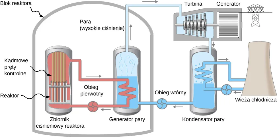 Zamknięta struktura, opisana jako blok reaktora, obejmuje dwa zbiorniki: zbiornik ciśnieniowy reaktora i generator pary. Pierwszy zawiera kadmowe pręty sterujące na górze i reaktor na dole. Zamknięta pętla rur, opisana jako obieg pierwotny, biegnie od góry do dołu zbiornika. Część tej pętli znajduje się w drugim zbiorniku - generatorze pary. Jest on wypełniony wodą i parą. Druga zamknięta pętla rur, oznaczona jako obieg wtórny biegnie z generatora pary na zewnątrz bloku reaktora i z powrotem do wewnątrz. Na zewnątrz struktury przechodzi ona najpierw przez turbinę, a następnie przez kondensator pary. Turbina jest przyłączona do generatora elektrycznego. Trzecia zamknięta pętla rur biegnie z kondensatora pary, przez wieżę chłodniczą i z powrotem.
