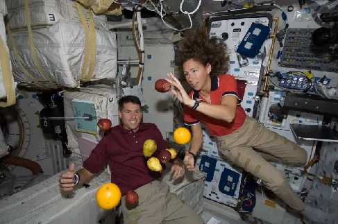 Photograph of Astronauts Aboard the Space Shuttle Endeavour. Two astronauts are seen, along with apples, oranges and pears, “floating” inside the shuttle.