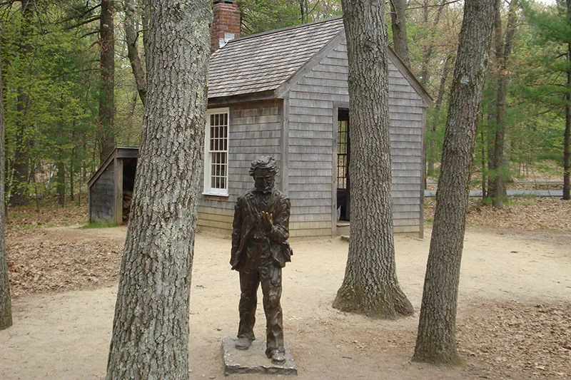 A contemporary replica of Thoreau’s cabin and a statue of Thoreau reside near Lake Walden.