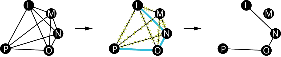 Three graphs. The first graph has five vertices: P, L, M, N, and O. The edges connect P L, L M, M N, M O, L O, M P, and M O. The second graph is the same as that of the first graph. The edges connecting L M, M N, M O, L O, L P, and M P are struck through. The third graph has five vertices: L, M, N, O, and P. The edges connect L N, N O, and O P.