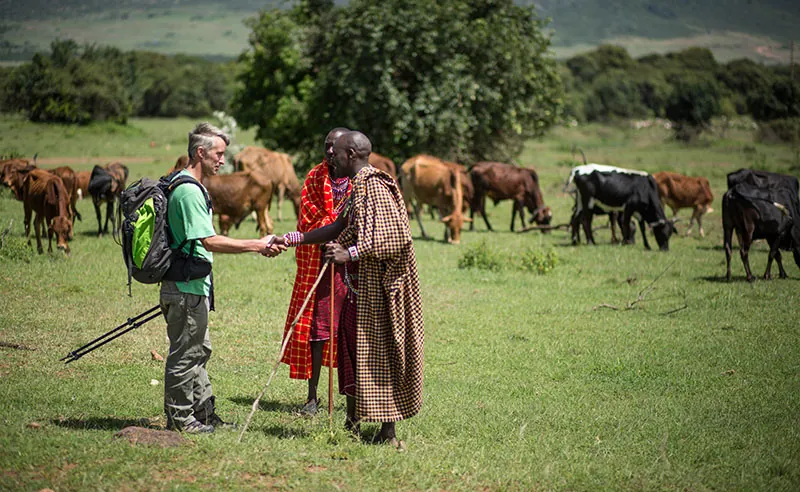 A White man shaking hands with a Maasai man in an open field. The White man wears modern Western clothing. The Maasai man wears a long patterned robe. Behind the Maasai man shaking hands stands another Maasai man in a bright red robe. All three men appear comfortable and friendly. Cattle are grazing behind them.