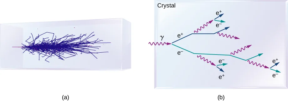 Figure a shows pattern of blue lines within a rectangular crystal. Figure b shows a crystal. A gamma ray enters it and splits into two rays, e plus and e minus. The e plus ray further splits into a gamma ray and an e plus ray. The e minus ray splits into a gamma ray and an e minus ray. The splitting continues in the same manner.