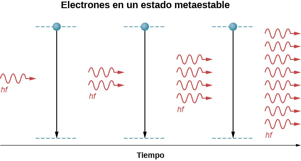 Ilustración de la amplificación de la luz en un láser. Se muestran dos niveles de energía en forma de líneas punteadas, uno sobre el otro en tres momentos diferentes. Los electrones se encuentran en el estado superior, que es un estado metaestable, y pasan al estado inferior. Llega una onda luminosa con energía h f que hace que el electrón caiga al estado inferior. Más electrones en el estado metaestable emiten y absorben dos fotones idénticos y en fase de energía h f. Estos electrones caen al estado inferior y emiten cuatro fotones idénticos, en fase, de energía h f, que son absorbidos por el tercer conjunto de electrones. Los electrones pasan al estado inferior y emiten ocho fotones idénticos, en fase, de energía h f.