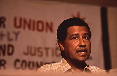 A photograph shows Cesar Chavez speaking.