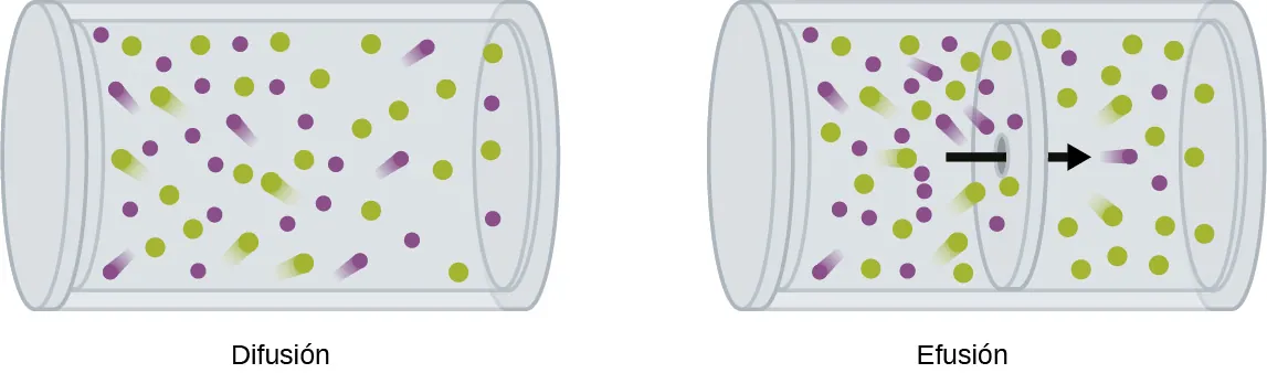 Esta figura muestra dos contenedores cilíndricos orientados horizontalmente. El primero se denomina "Difusión". En este contenedor aparecen aproximadamente 25 círculos morados y 25 verdes, distribuidos uniformemente por todo el contenedor. Los "rastros" detrás de algunos círculos indican movimiento. En el segundo recipiente, marcado como "efusión", se aprecia una capa límite que atraviesa el centro del recipiente cilíndrico, dividiendo el cilindro en dos mitades. Se dibuja una flecha negra que atraviesa este límite de izquierda a derecha. A la izquierda del límite, se muestran de nuevo aproximadamente 16 círculos verdes y 20 círculos morados con movimiento indicado por "estelas" detrás de algunos de los círculos. A la derecha del límite, solo se muestran 4 círculos morados y 16 verdes.