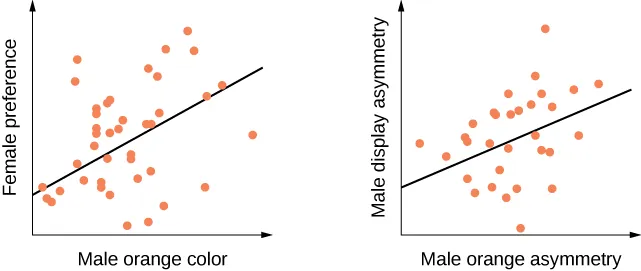 This figure is a graph that has a vertical axis labeled Female preference and a horizontal axis labeled Male orange Color. Majority of the orange dots cluster about a quarter into the line and hover closer to it with some of them variously underneath the line and a few orange dots to the upper right corner. The second graph is labeled on the vertical axis Male Display asymmetry and the horizontal line labeled Male orange asymmetry. Most of the dots clutter along the diagonal line.