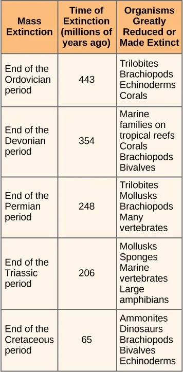 Table with column headings, “Mass Extinction,” Time of Extinction,” and “Organisms Greatly Reduced or Made Extinct.” First row: “End of the Ordovician period,” “443 million years ago,” and “Trilobites, brachiopods, echinoderms, and corals.” Second row: “End of the Devonian period,” “354 million years ago,” and “Marine families on tropical reefs, corals, brachiopods, and bivalves.” Third row: “End of the Permian period,” 248 million years ago,” and “Trilobites, mollusks, brachiopods, and many vertebrates.” Fourth row: “End of the Triassic period,” “206 million years ago,” and “Mollusks, sponges, marine vertebrates, and large amphibians.” Fifth row: “End of the Cretaceous period,” “65 million years ago,” and “ Ammonites, dinosaurs, brachiopods, bivalves, and echinoderms.”
