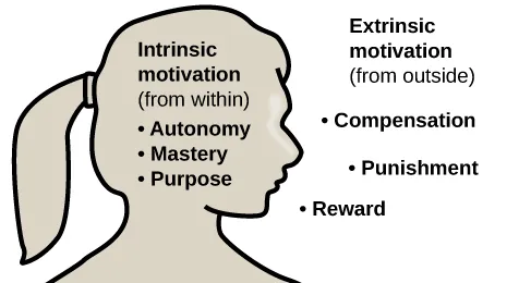 An illustration shows a person’s upper torso. Inside the person's head are the words “intrinsic motivation (from within)” and three bullet points: “autonomy,” “mastery,” “purpose.” Outside the person's outline are the words “extrinsic motivation (from outside)” and three bullet points: “compensation,” “punishment,” and “reward.”