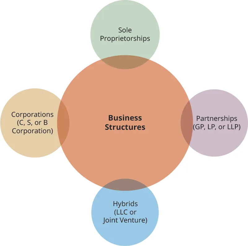 Cartoon with Business Structures in the middle, surrounded by slightly overlapping circles of Sole Proprietorships, Corporations (C-corp, S-corp, or B-corp), Partnerships (GP, LP, of LLP) and Hybrids (LLC or Joint Venture).