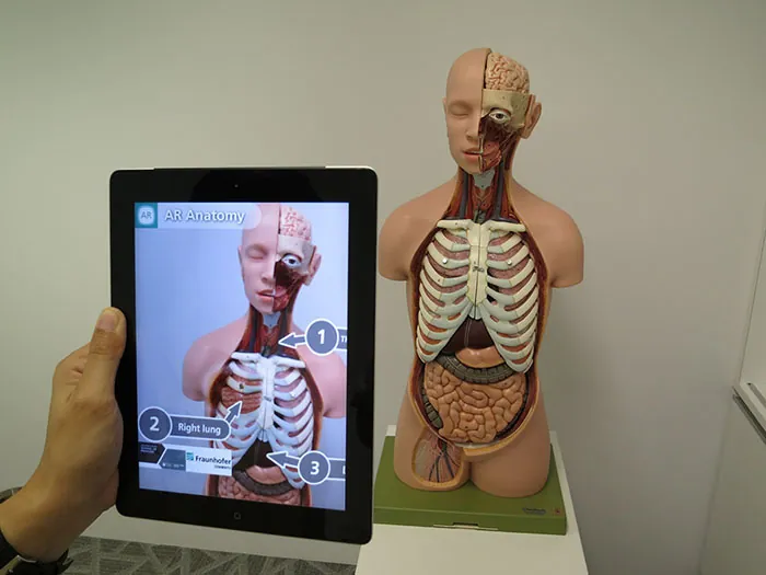 A person holds a tablet in front of an anatomy model. On the tablet, the model is enhanced with labels and other details through augmented reality.