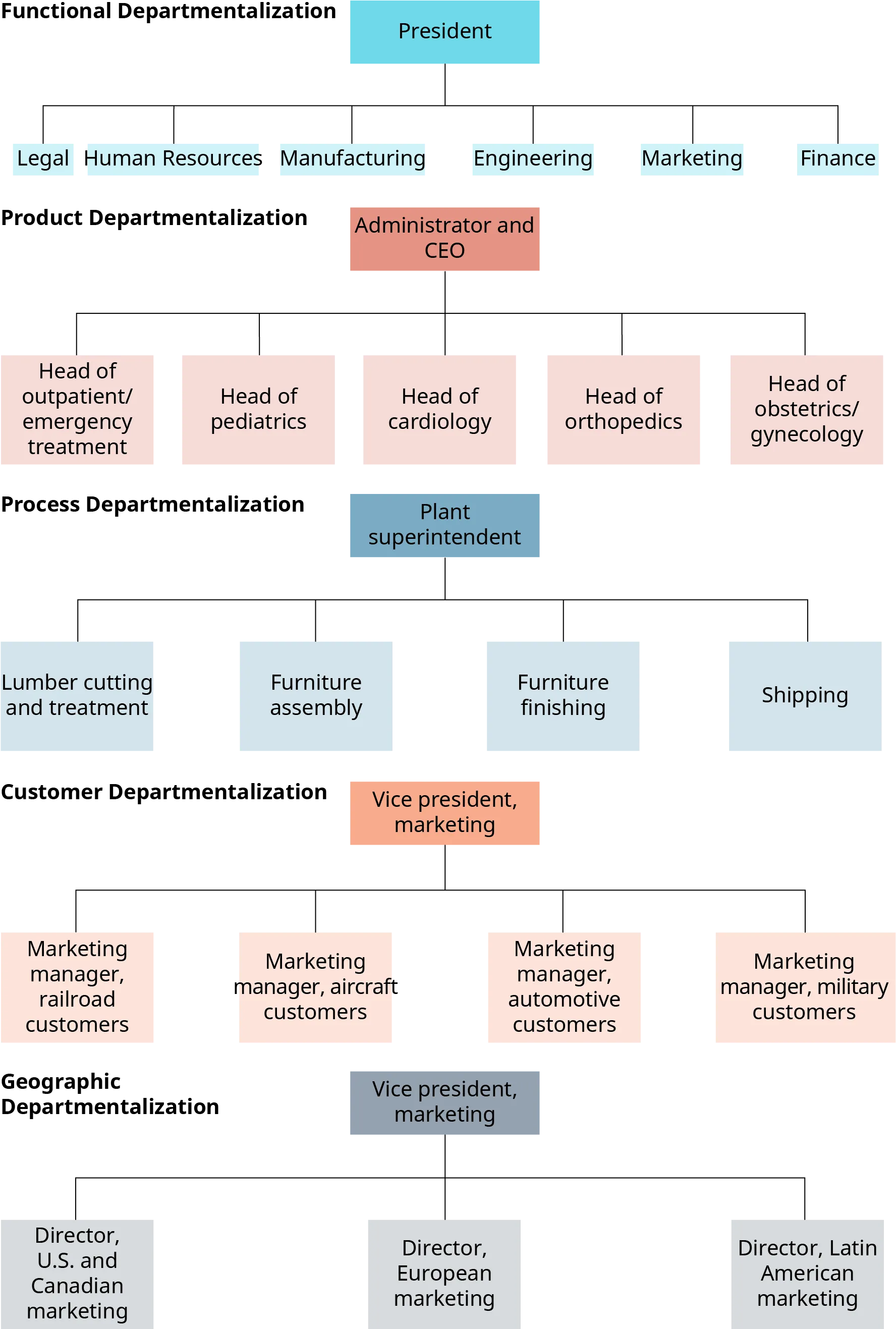 Functional departmentalization shows a president, with lines extending to legal, human resources, manufacturing, engineering, marketing, and finance. Product departmentalization shows an administrator and C E O, with lines extending to head of outpatient slash emergency treatment, head of pediatrics, head of cardiology, head of orthopedics, and head of obstetrics slash gynecology. Process departmentalization shows a plant superintendent with lines extending to lumber cutting and treatment, furniture assembly, furniture finishing, and shipping. Customer departmentalization shows the vice president of marketing, with lines extending to marketing manager, railroad customers; and marketing manager, aircraft customers; and marketing manager, automotive customers, and marketing manager, military customers. Geographic departmentalization shows the vice president of marketing, with lines extending to the director, U S and Canadian marketing; and director, European marketing; and director, Latin American marketing.